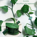 Plant Climbing Wall Clip,Self-Adhesive Vines Support Hooks for Indoor & Outdoor (10 Pcs Set)