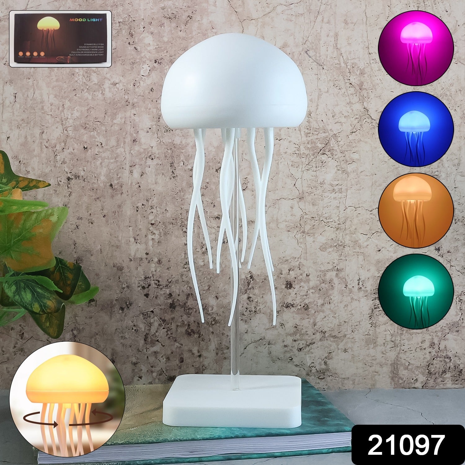 Decorative ambient light        
