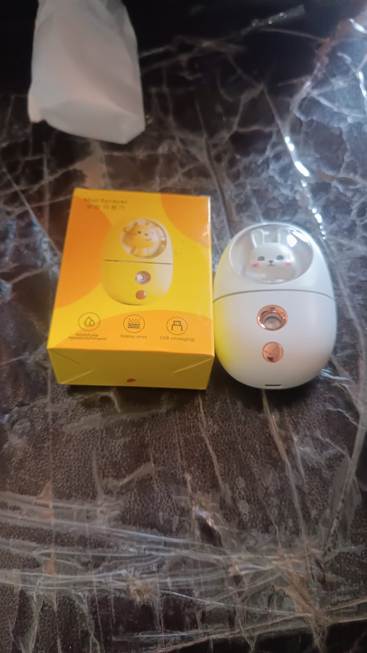 USB Rechargeable Bunny Design Mini Humidifier & Mist Sprayer