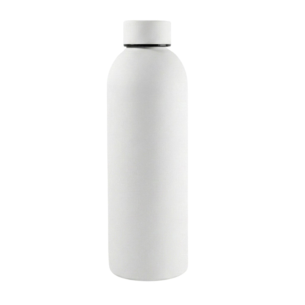 Reusable Steel Bottle